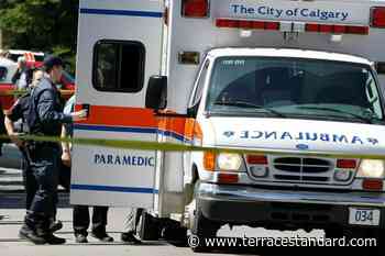 Alberta Health Services investigates EMS response time in fatal Calgary dog attack – Terrace Standard - Terrace Standard