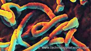 New Tool Could Enable Rapid Ebola Diagnosis - Technology Networks