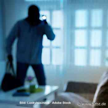 Sindelfingen: Einbrecher in der Galerie der Stadt | SZ/BZ - Sindelfinger Zeitung / Böblinger Zeitung