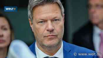 Habecks China-Bann und die Folgen für deutsche Firmen