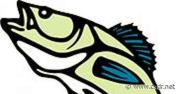 Dryden Walleye Masters Back; Volunteers/Teams Needed - ckdr.net