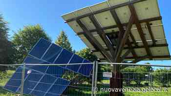 “Albero” fotovoltaico crollato al parco a Ceggia. Ora saranno tolti tutti - La Nuova Venezia