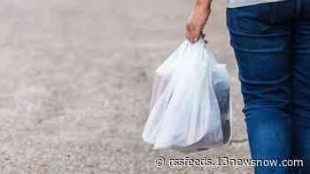 Fee on disposable plastic bags under consideration in Virginia Beach