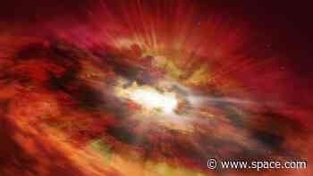 James Webb Space Telescope will study how the 1st black hole 'seeds' formed in the 'baby universe'