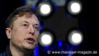 Elon Musk: Twitter beugt sich offenbar Druck und will Auskunft über Bots geben