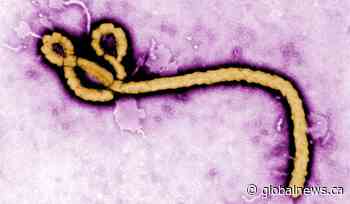 What happened to… Ebola virus? - Global News