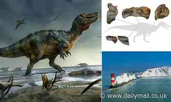 Isle of Wight dinosaur 'may be largest land predator to roam Europe'