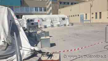 Campagna vaccinale vissuta nella tenda dell'Hospitainer: “Sempre nel mio cuore” - Termoli Online