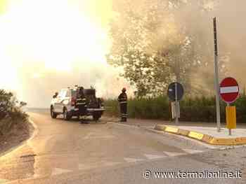 Divampa un nuovo rogo lungo la statale 16, traffico deviato a Campomarino - Termoli Online