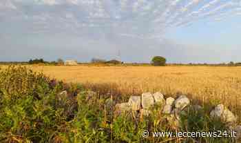 Tagliare l’erba secca. Un dovere civico per l’intero territorio - Leccenews24