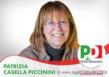 Patrizia Casella Piccinini: "Sulla scuola ovvero veder l'erba dalla parte delle radici" - La Gazzetta di Lucca