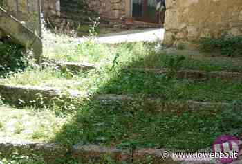 ARPINO - CAMPA CAVALLO CHE L'ERBA CRESCE - ioWebbo