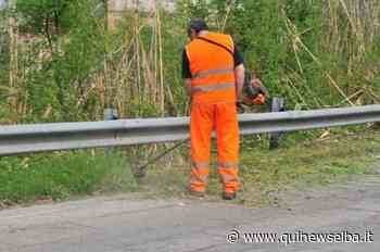 Sfalcio erba lungo le strade, l'avviso - Qui News Elba