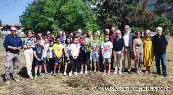 Erba alta e incolta, Aspes mani di forbice: ecco in azione la task force di 100 uomini - corriereadriatico.it