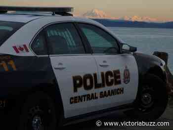 Witnesses sought in physical altercation between two men at Central Saanich's Centennial Park - Victoria Buzz