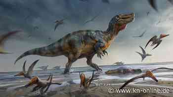 Forschende finden riesigen Raub-Dinosaurier auf der Isle of Wight