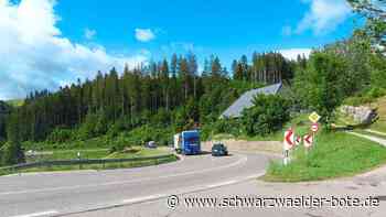 Verkehrslärm in Nußbach - Ortschaftsrat strebt den Bau eines Tunnels an - Schwarzwälder Bote