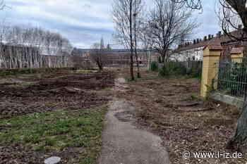 60 Millionen Euro: Stadtrat entscheidet am 15. Juni zum Bau der Wilhelm-Busch-Schule in der Reichpietschstraße – Nachrichten aus Leipzig - Leipziger Internet-Zeitung