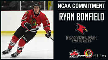 Commitment Alert | Braves Ryan Bonfield commits to NCAA Plattsburgh State - CCHL