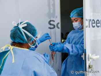COVID-19: UAE reports 1,031 new coronavirus cases, 712 recoveries, 0 deaths - Gulf News