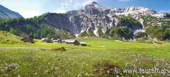 Gemüsetrend: Zurück zu den Wurzeln