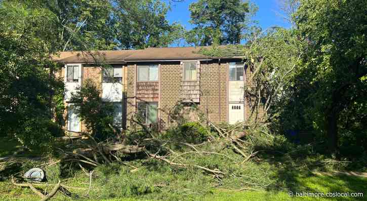 Storms Leave Trail Of Damage In Howard & Baltimore Counties