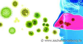 Allergologe der Uniklinik Aachen: Auf dem Weg zur „Schmutzimpfung“ gegen Heuschnupfen? - Aachener Zeitung