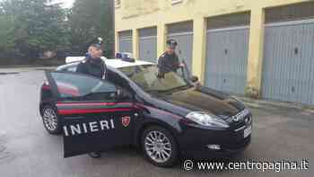 Fabriano: si dichiara interessata all'acquisto di un cane di razza, 45enne truffato - Centropagina