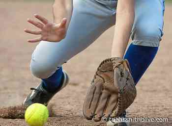 Penn-Trafford shakes off early homer to beat Twin Valley in PIAA Class 5A 1st round | Trib HSSN - tribhssn.triblive.com