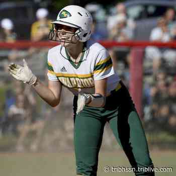 Penn-Trafford not shaken after WPIAL title-game loss, refocuses on PIAA playoffs | Trib HSSN - tribhssn.triblive.com