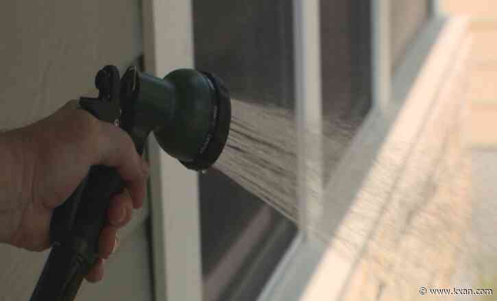 Gardening tips to save your plants this summer