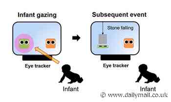 Eight-month-old infants can punish antisocial behaviour, study says