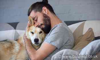Is THIS how dogs became man's best friend? Gene mutations made pups more comfortable with humans