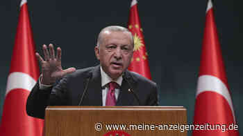 Wirtschaftskrise in der Türkei: Erdogan tritt erneut bei  Präsidenten-Wahl an und stellt Forderung an Opposition