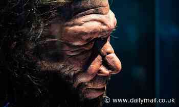 Randy NEANDERTHAL may be to blame for the gene that caused up to a million people to die from Covid