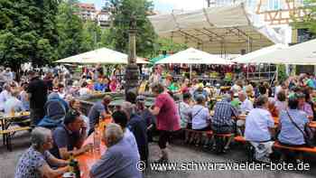 »Für Wildberg«: Stagnierende Mitgliederzahlen bereiten Seibold Sorgen