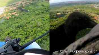 Urubu pousa em homem durante voo de parapente em Pacatuba, no Ceará - O POVO