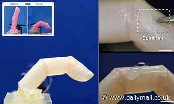 Scientists create living human skin for robots that can stretch, repel water and even 'heal' itself 