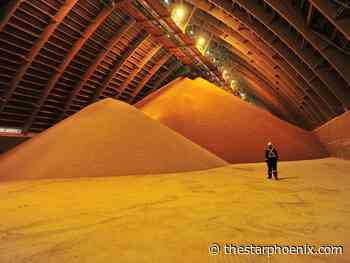Nutrien to accelerate ramp-up of annual potash production capacity