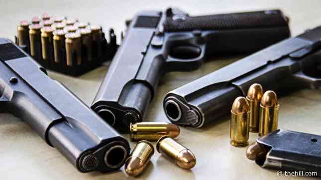 Five Republicans, one Democrat buck parties on ‘red flag’ gun legislation
