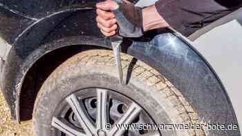 Vandalismus in Schramberg - Die Demokratie verteidigen - Schwarzwälder Bote