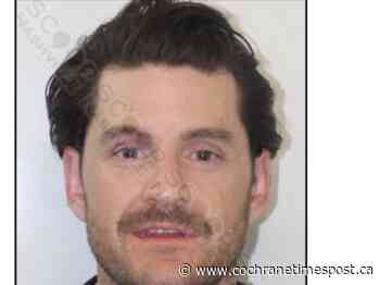 Sportsnet reporter Shawn McKenzie arrested in Nashville: Report - Cochrane Times Post