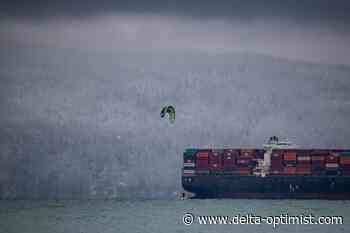Air, water search underway after empty powerboat found drifting off Vancouver - Delta Optimist