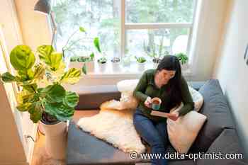 6 in 10 unaware surfing the web produces carbon emissions - Delta Optimist