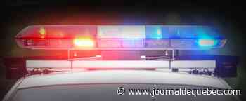 Quatre arrestations lors d’une opération antidrogue en Abitibi