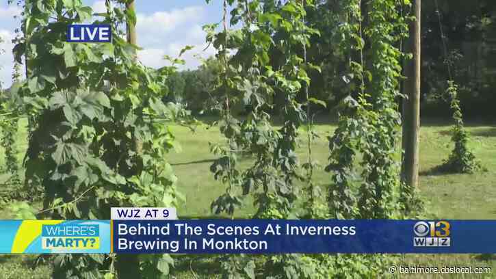 Where’s Marty? Checking Out Inverness Brewing In Monkton