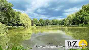 So steht es um die Qualität der Gewässer