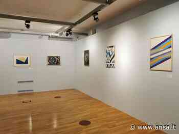 In mostra a Cagliari evoluzione dell'opera grafica nel '900 - Agenzia ANSA