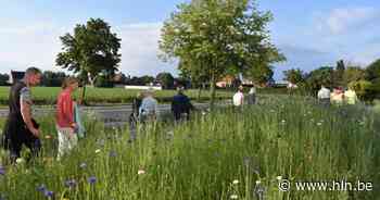Meulebeke organiseert zoemende wandeling | Meulebeke - Het Laatste Nieuws