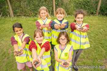 School children promote ‘flower power’ in Harrow - Harrow Online